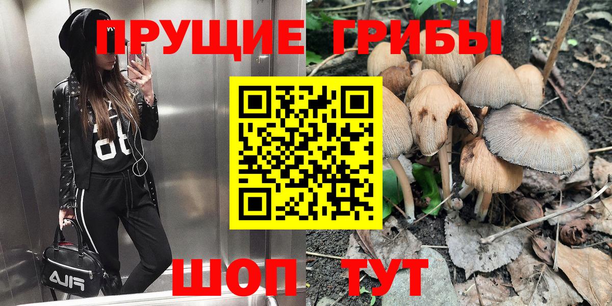 Галлюциногенные грибы MAGIC MUSHROOMS Можга